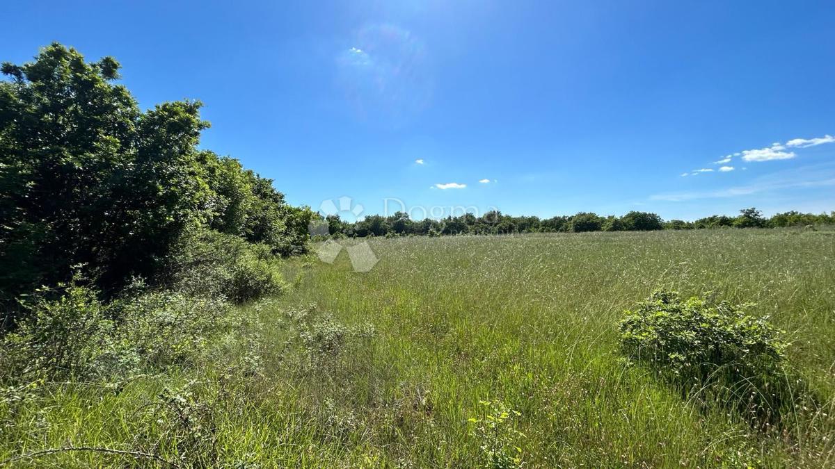 Terreno Marčana, 17.544m2