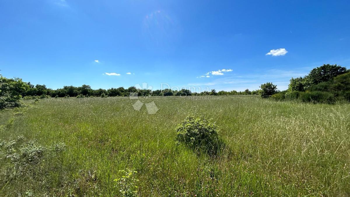 Terreno Marčana, 17.544m2