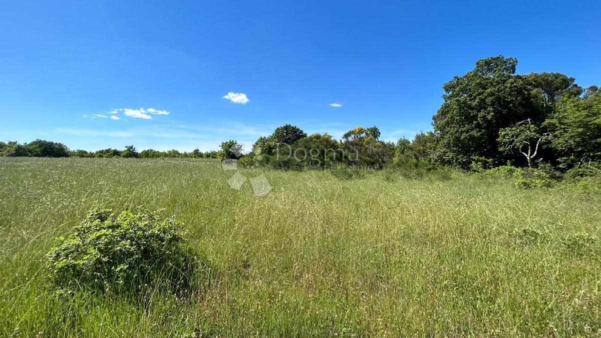 Terreno Marčana, 17.544m2