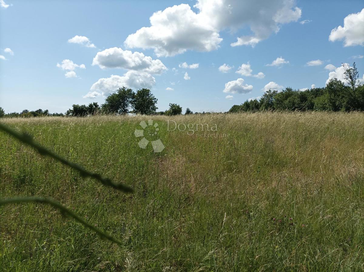 Terreno Grandići, Barban, 1.100m2