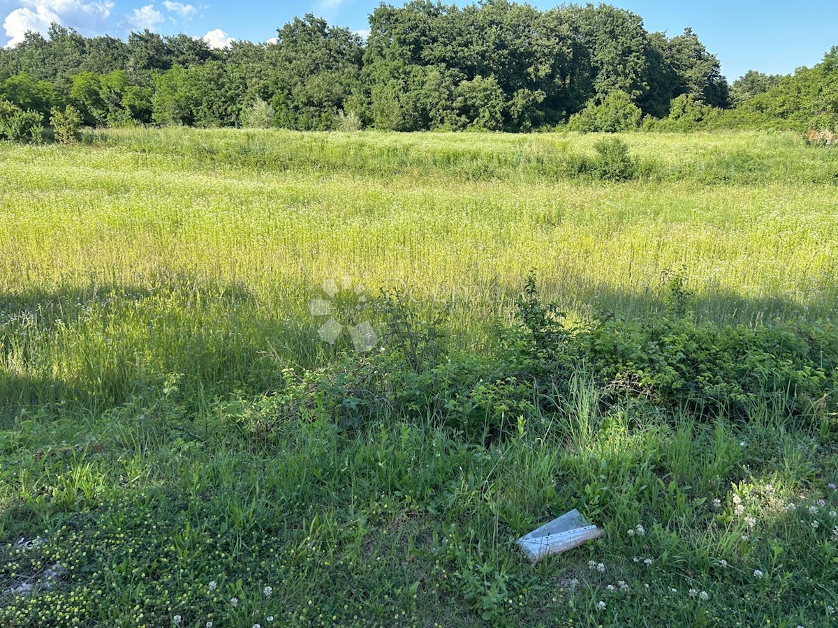 Terreno Bokordići, Svetvinčenat, 852m2