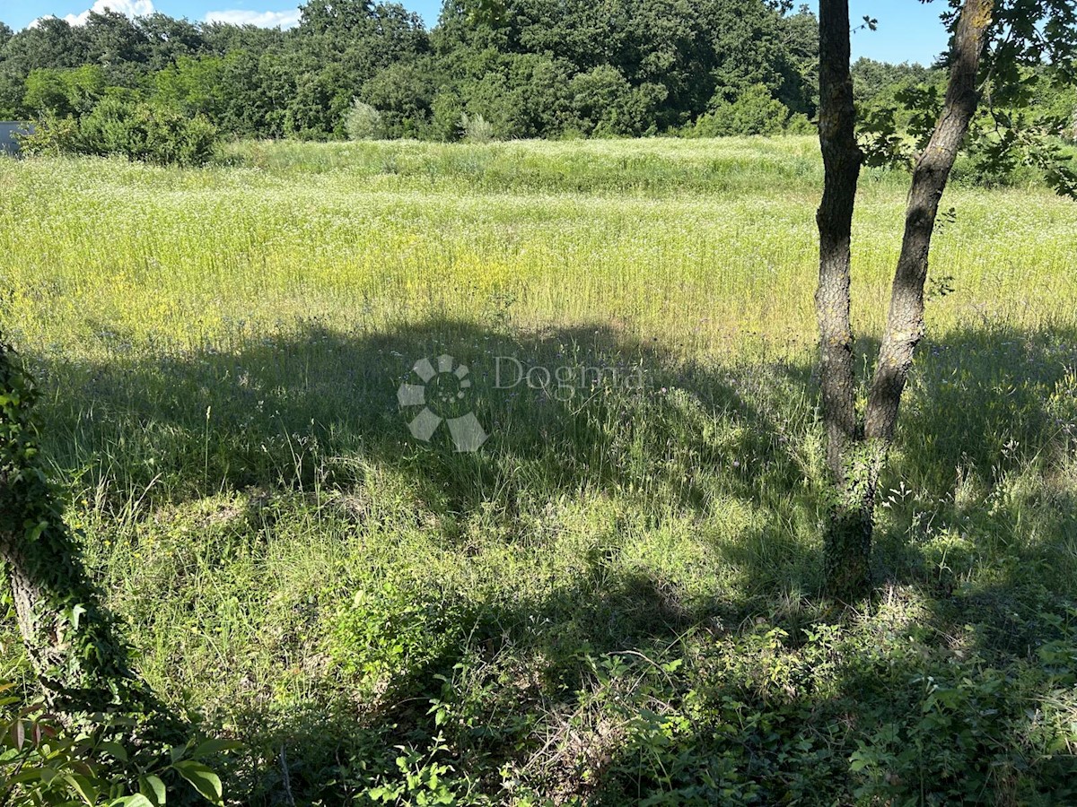 Terreno Bokordići, Svetvinčenat, 852m2