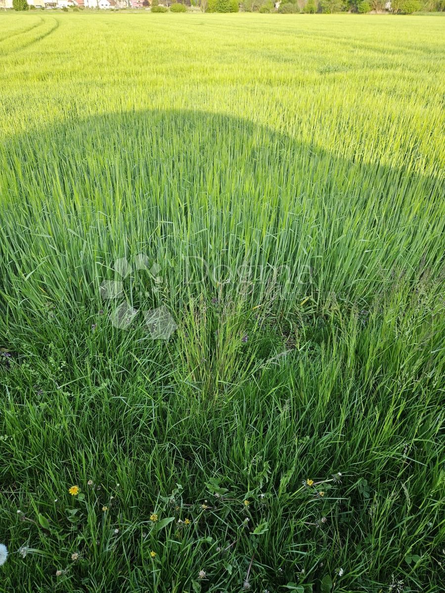 Terreno Jalkovečka, Varaždin, 2.158m2