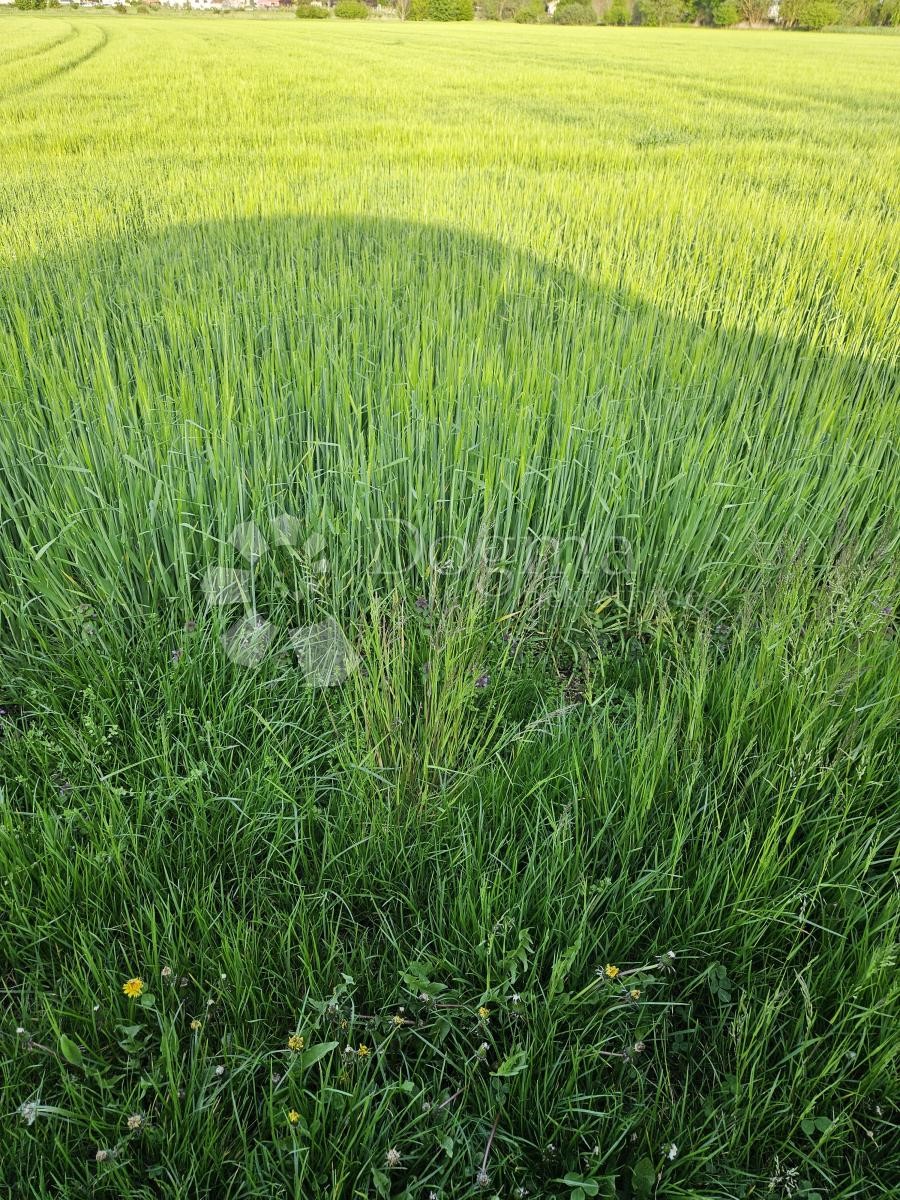 Terreno Jalkovečka, Varaždin, 2.158m2