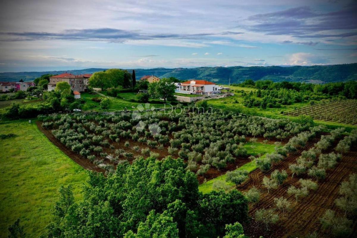 LUSSUOSA VILLA CON VISTA