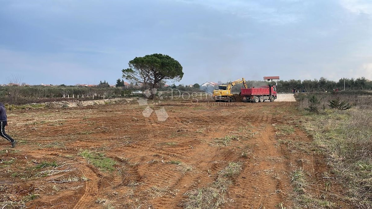 Terreno Mulo, Vrsi, 500m2