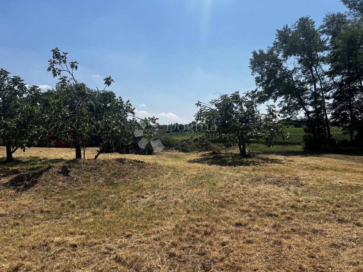 Terreno Kaštelir, Kaštelir-Labinci, 780m2