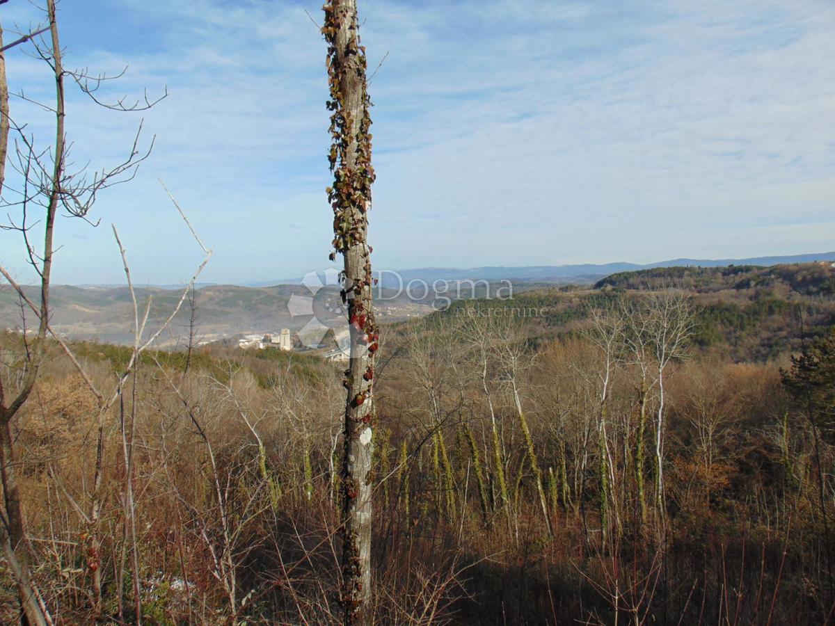 Terreno Lindar, Pazin - Okolica, 5.961m2