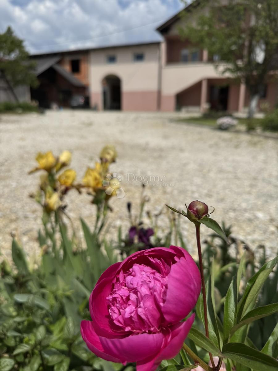Casa Pogančec, Preseka, 263m2