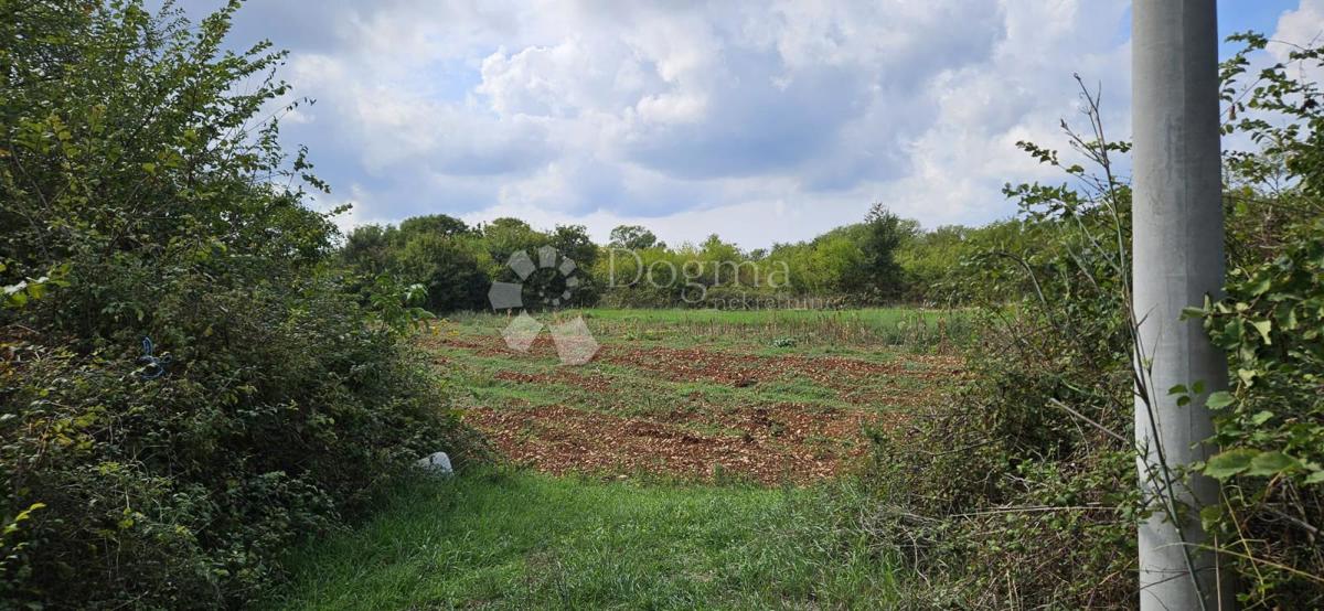 Terreno Galižana, Vodnjan, 3.021m2