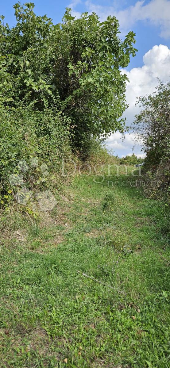 Terreno Galižana, Vodnjan, 3.021m2