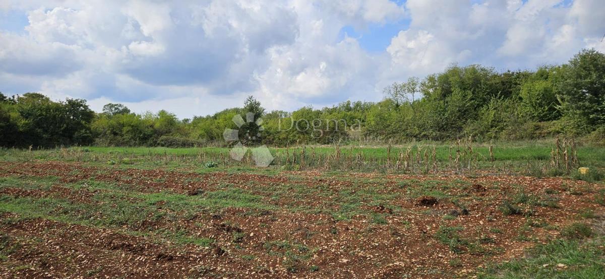 Terreno Galižana, Vodnjan, 3.021m2