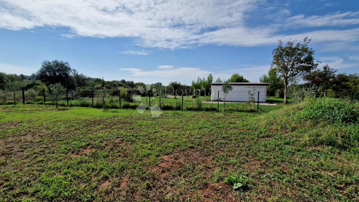 Maslinik - acqua ed elettricità sul terreno vicino