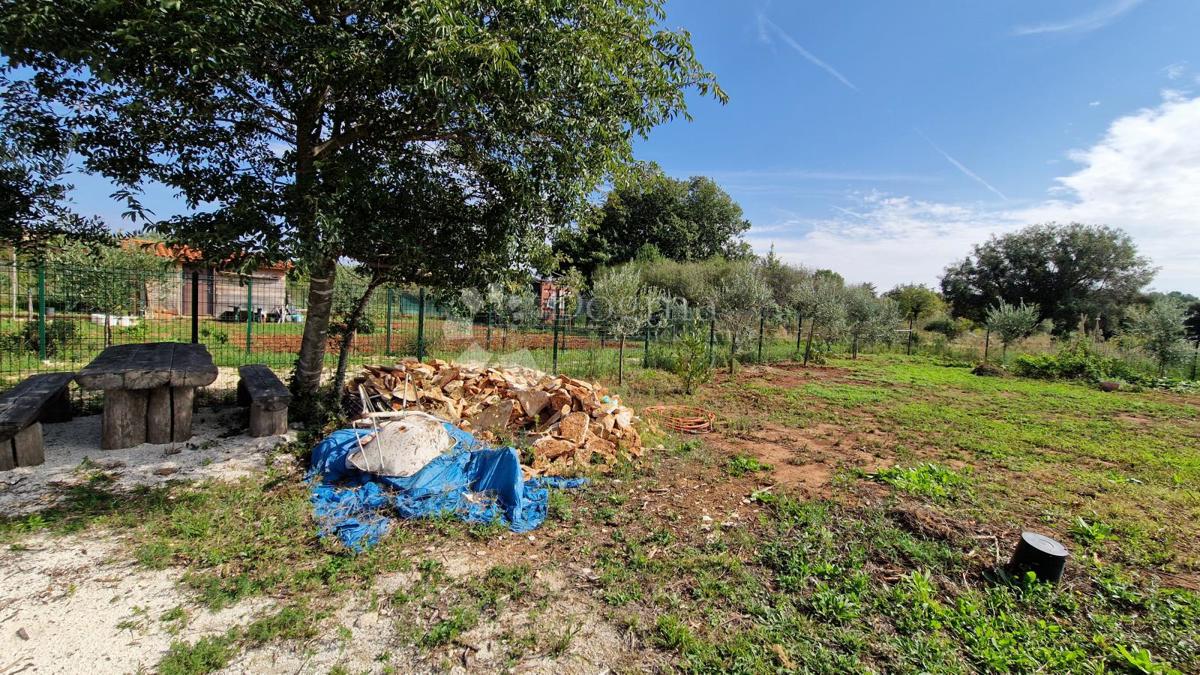 Maslinik - acqua ed elettricità sul terreno vicino