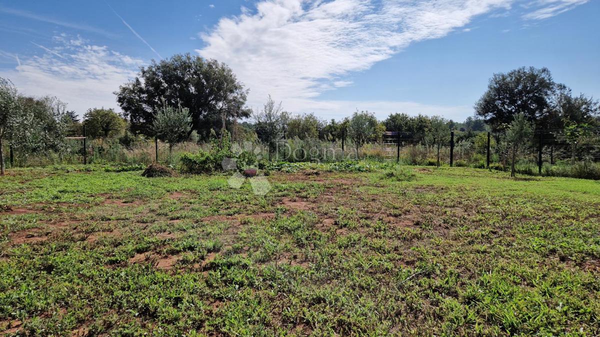 Maslinik - acqua ed elettricità sul terreno vicino