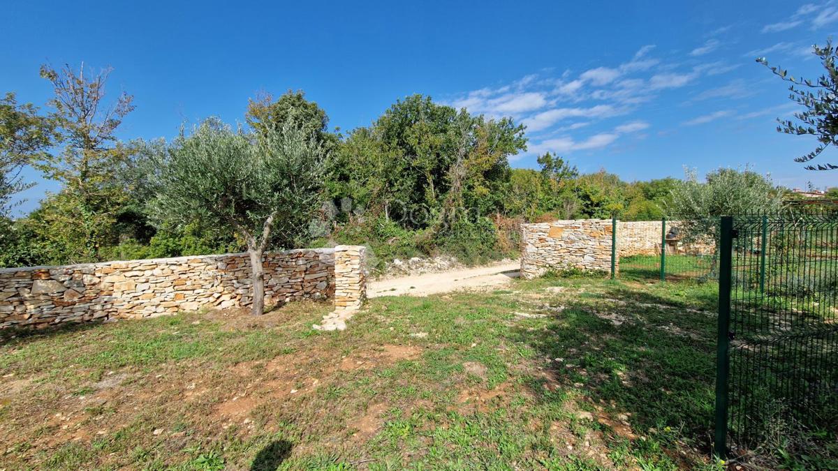 Maslinik - acqua ed elettricità sul terreno vicino