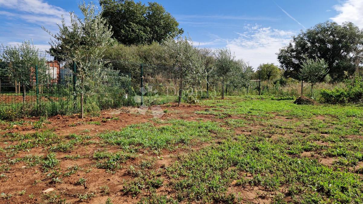 Maslinik - acqua ed elettricità sul terreno vicino