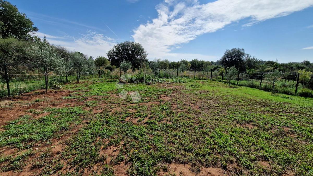 Maslinik - acqua ed elettricità sul terreno vicino