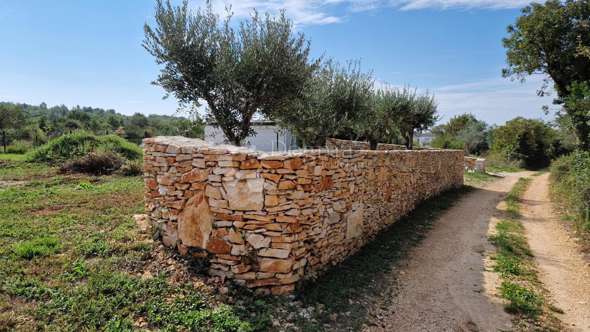 Maslinik - acqua ed elettricità sul terreno vicino