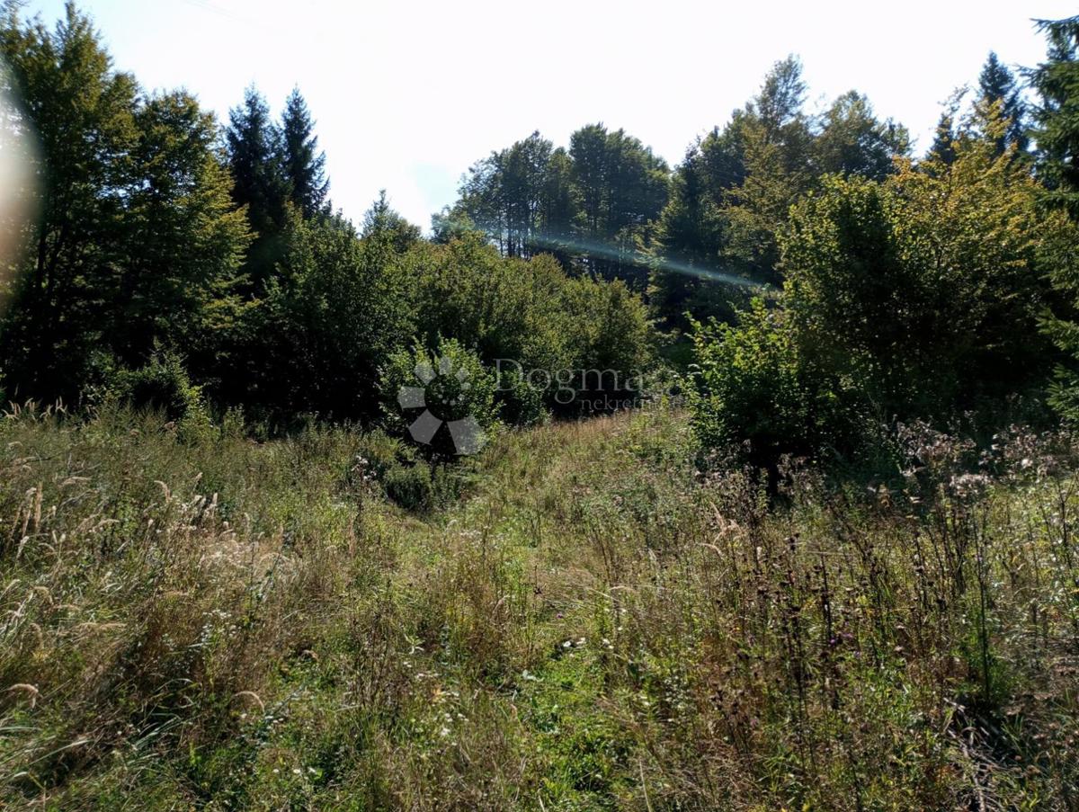 Terreno Lučice, Delnice, 6.910m2