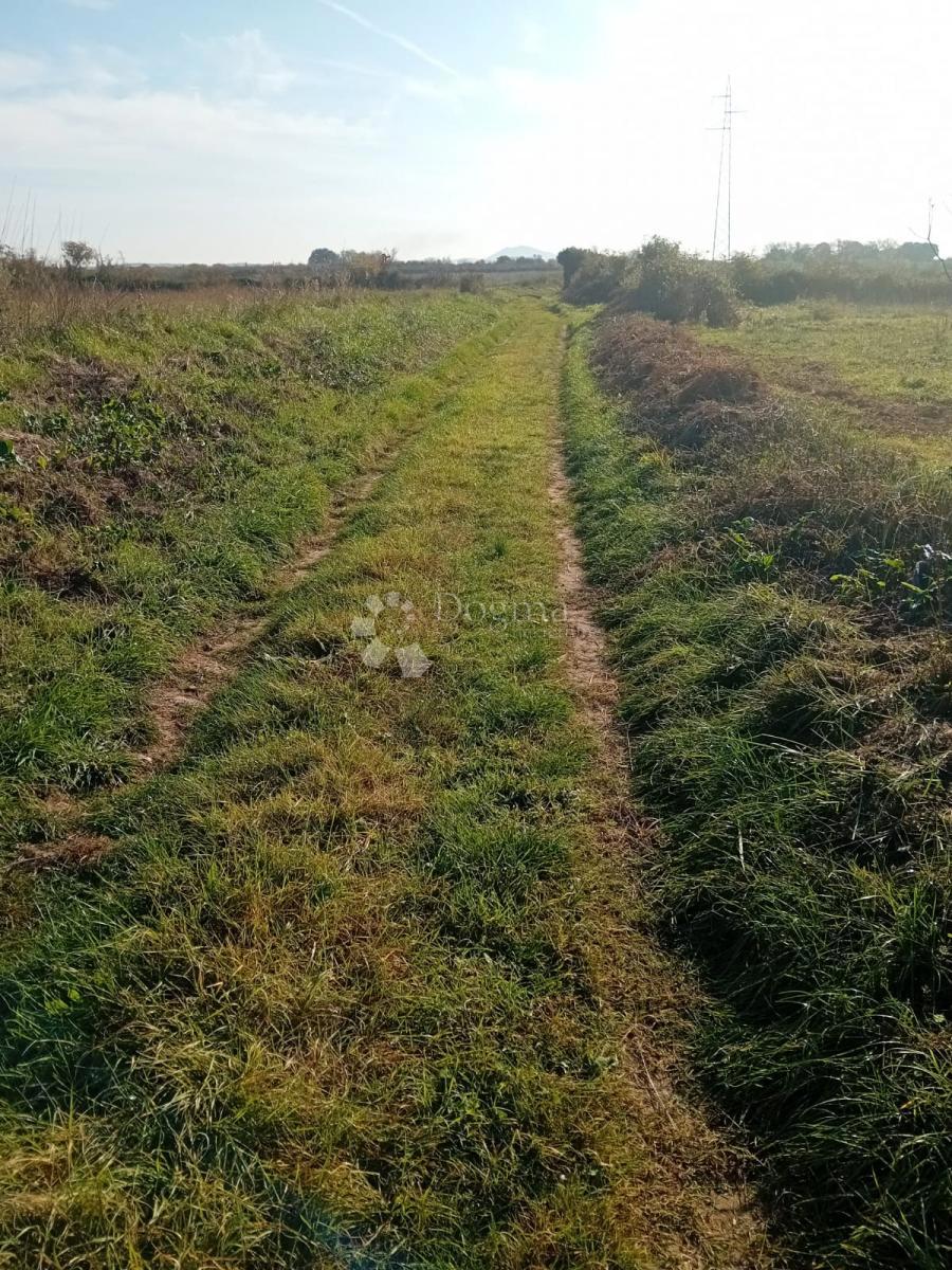 Terreno Donje Raštane, Sveti Filip I Jakov, 5.060m2