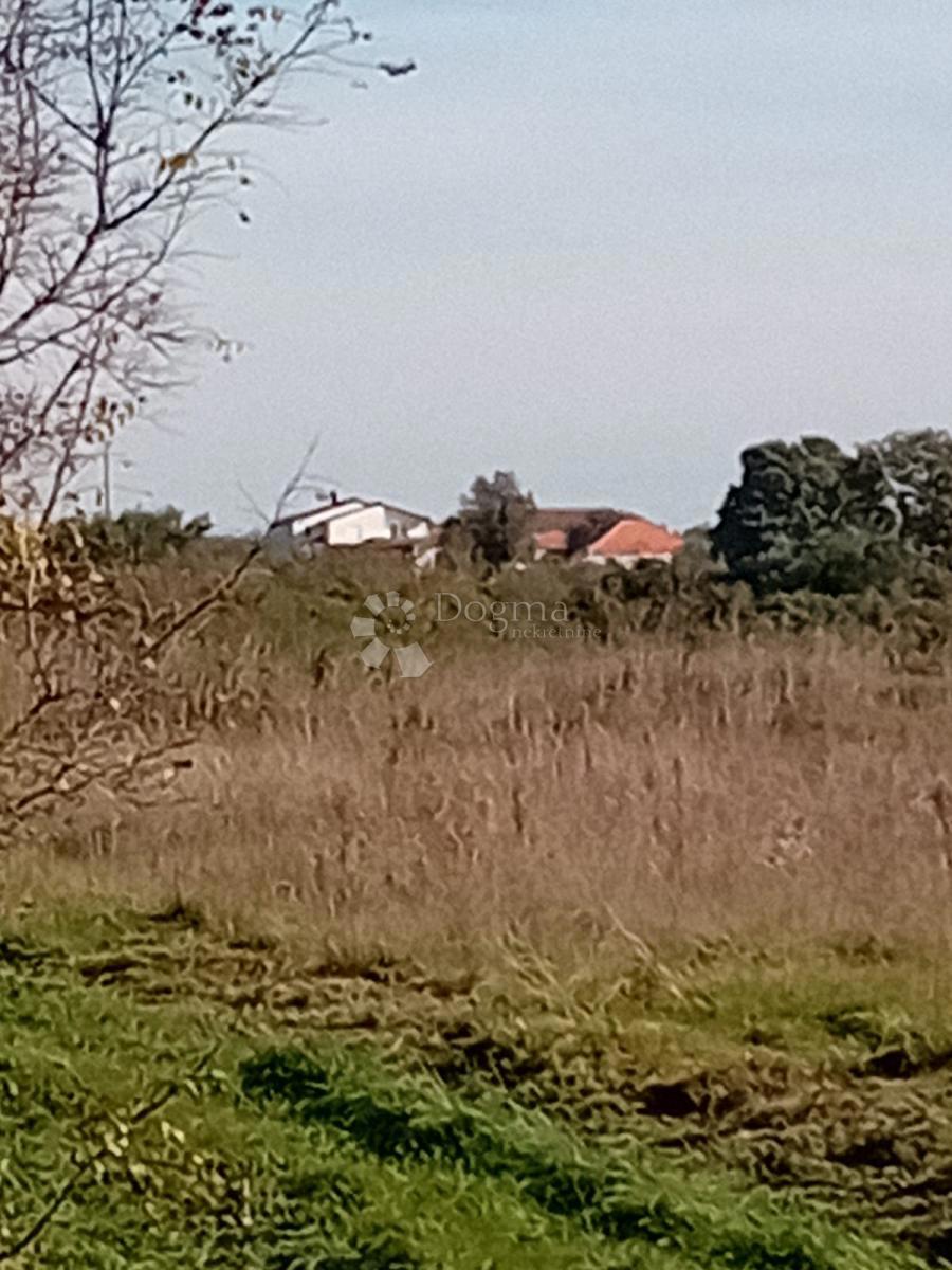 Terreno Donje Raštane, Sveti Filip I Jakov, 5.060m2