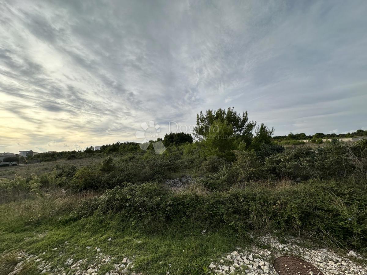 Terreno Vrsi, 2.915m2