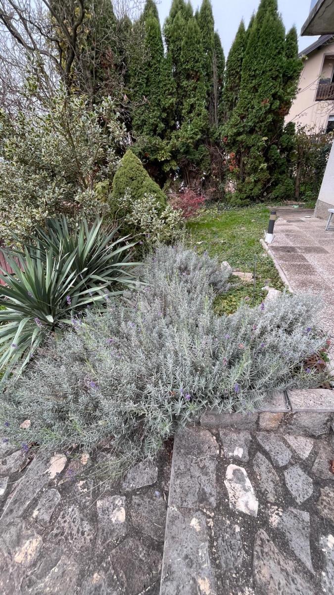 Casa Hum Zabočki, Zabok, 255m2