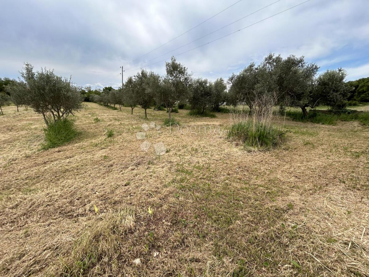 Terreno Valtura, Ližnjan, 4.330m2