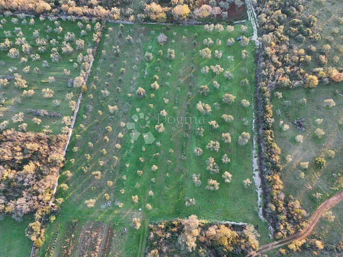 Terreno Fažana, 3.630m2