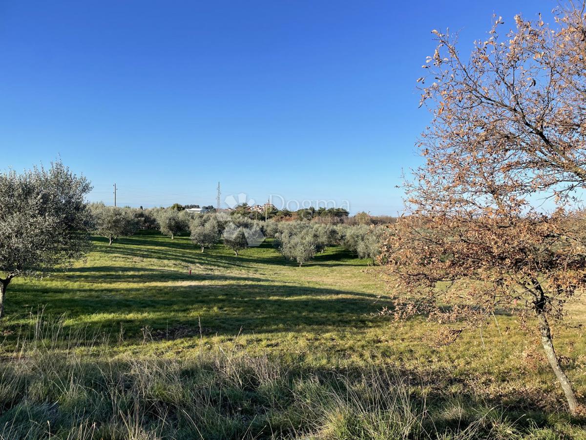 TERRENO CON VISTA IDILLICA, DINTORNI DI BUIE