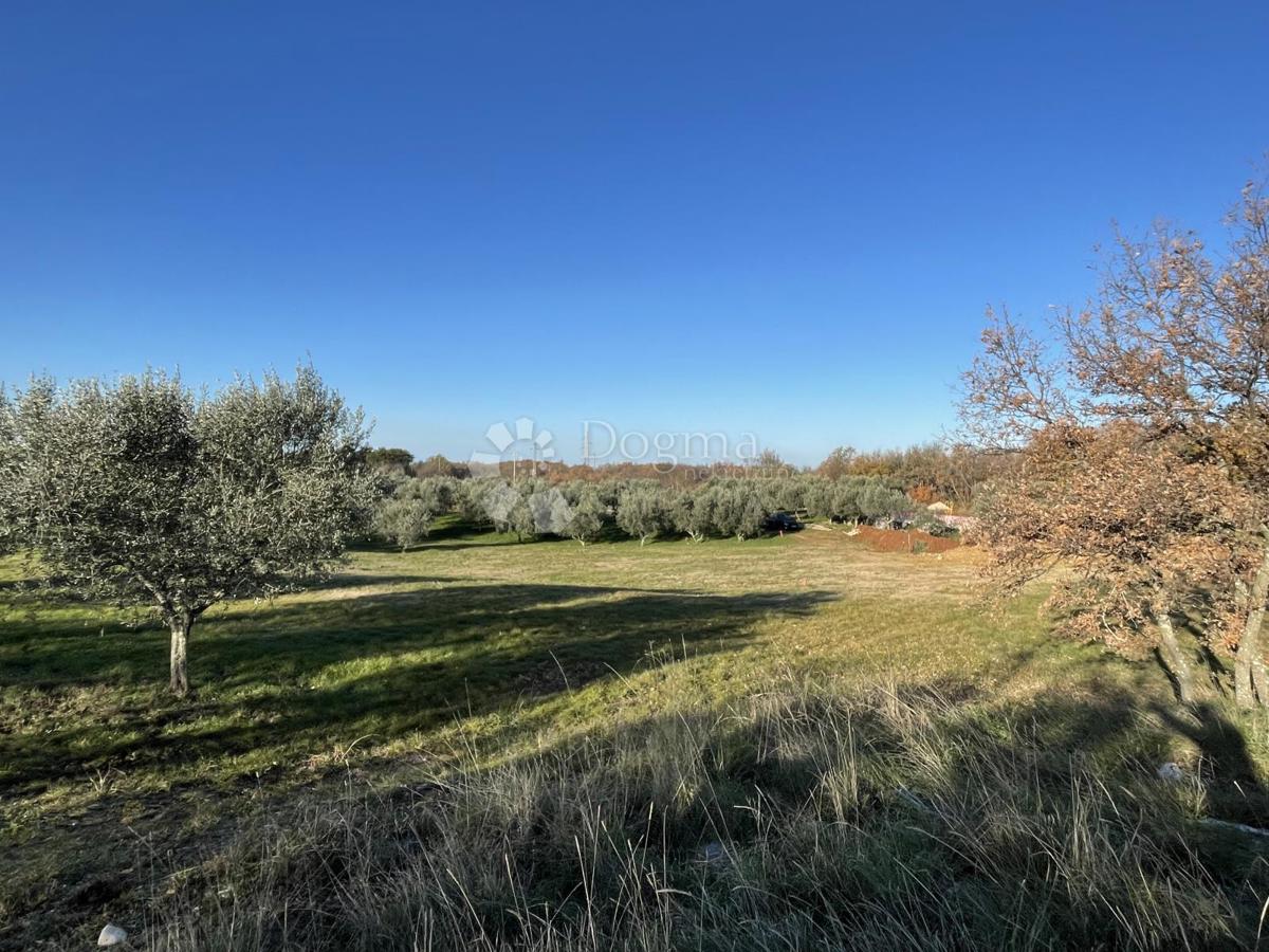 TERRENO CON VISTA IDILLICA, DINTORNI DI BUIE