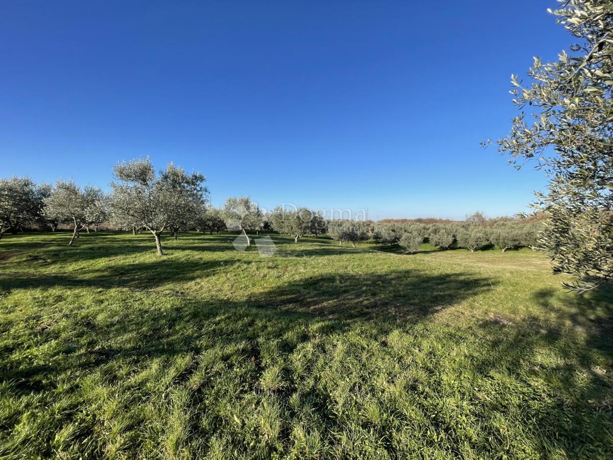 TERRENO CON VISTA IDILLICA, DINTORNI DI BUIE