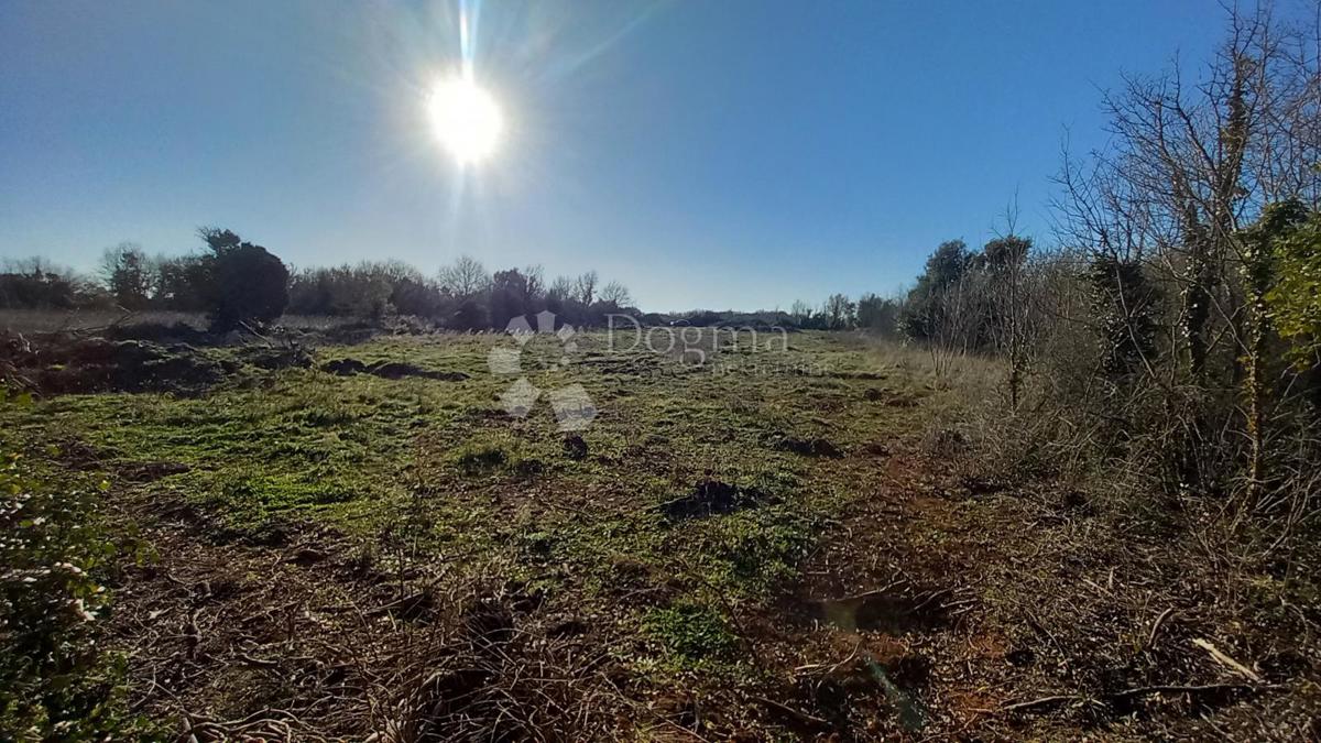 Ampio terreno edificabile nella zona industriale, Šišan