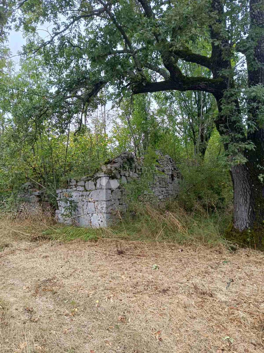 Terreno agricolo Doljani, Donji Lapac, 165.000m2
