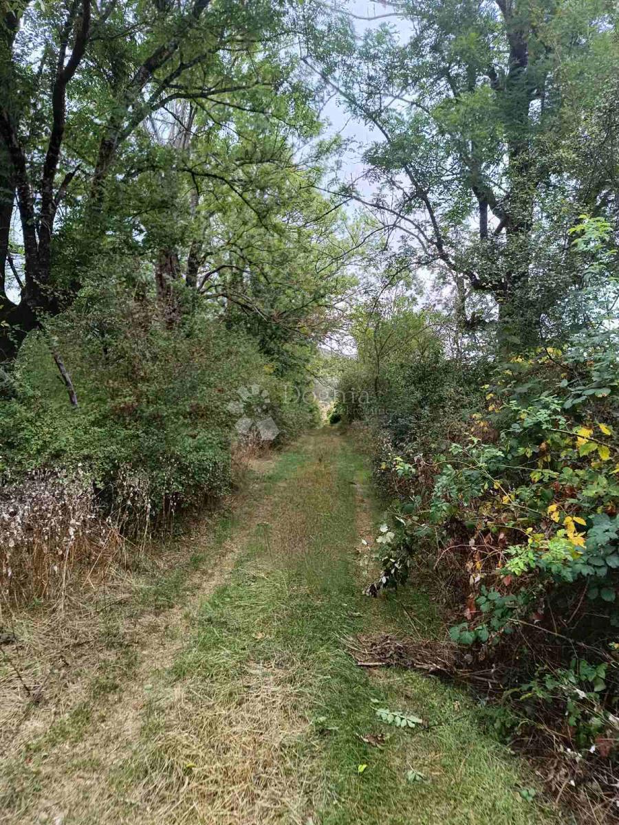 Terreno agricolo Doljani, Donji Lapac, 165.000m2