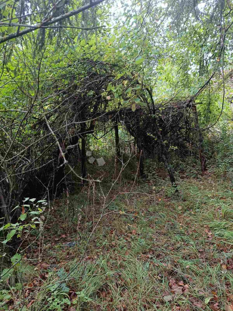 Terreno agricolo Doljani, Donji Lapac, 165.000m2