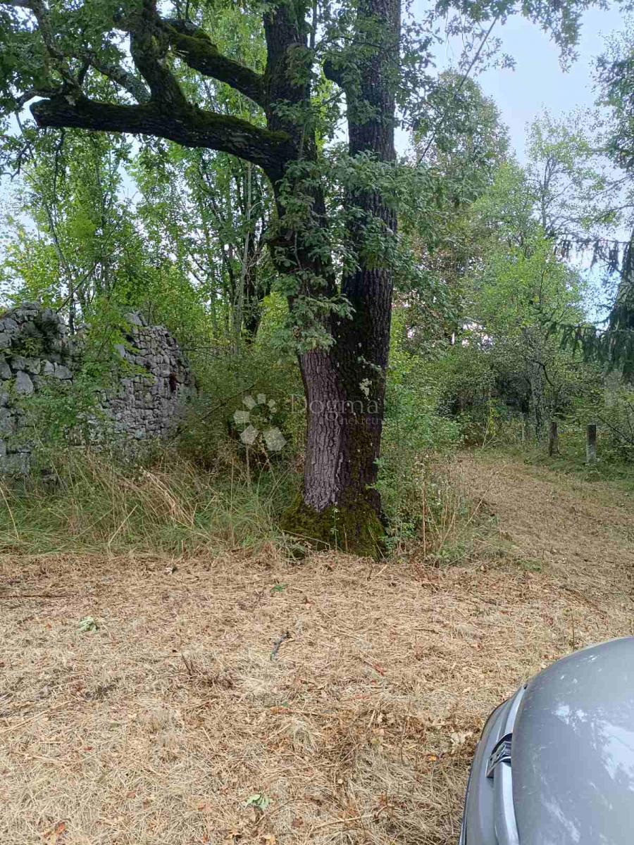 Terreno agricolo Doljani, Donji Lapac, 165.000m2
