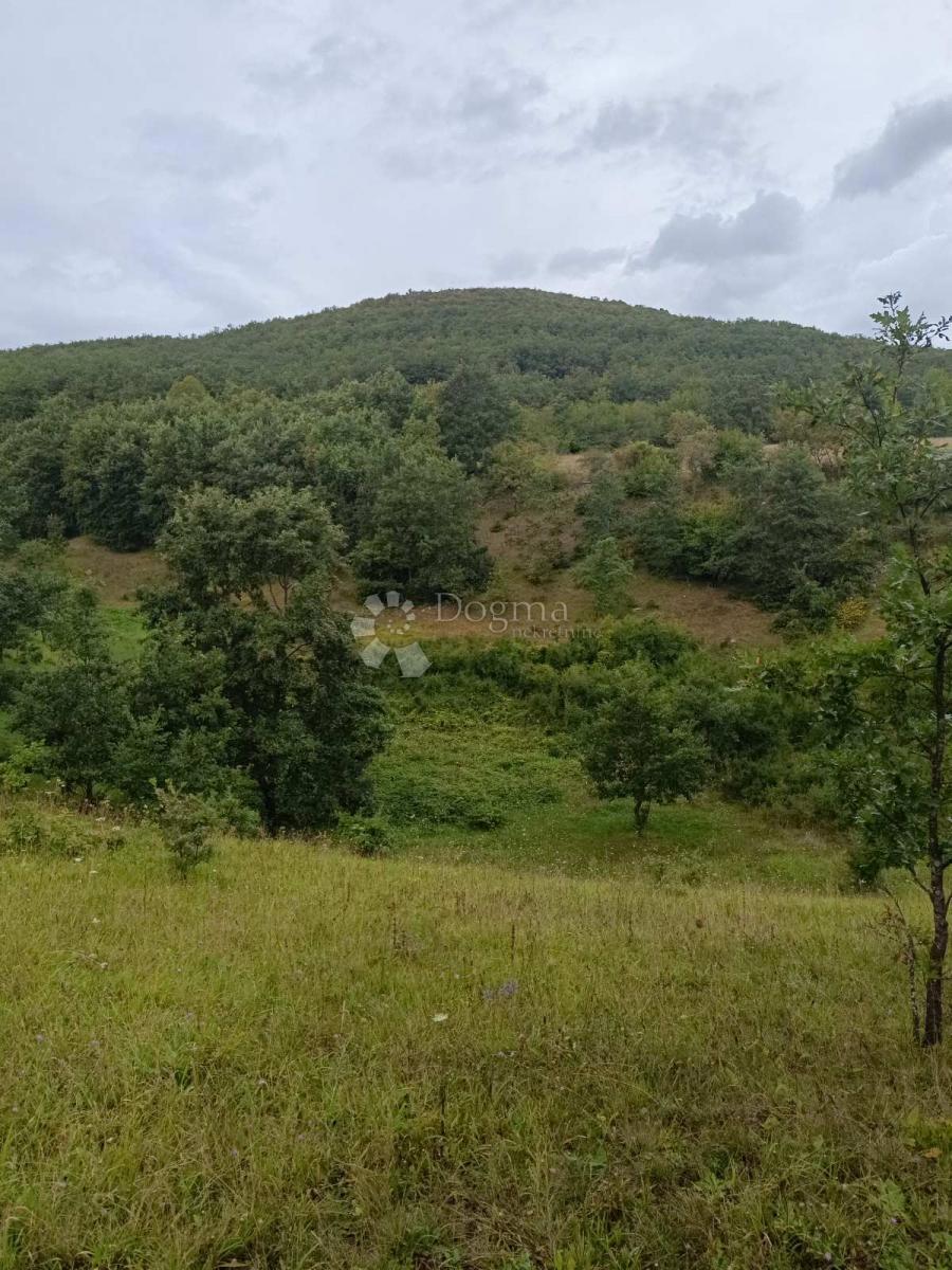 Terreno agricolo Doljani, Donji Lapac, 165.000m2