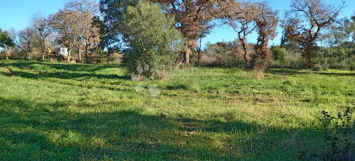 Terreno edificabile in una posizione attraente