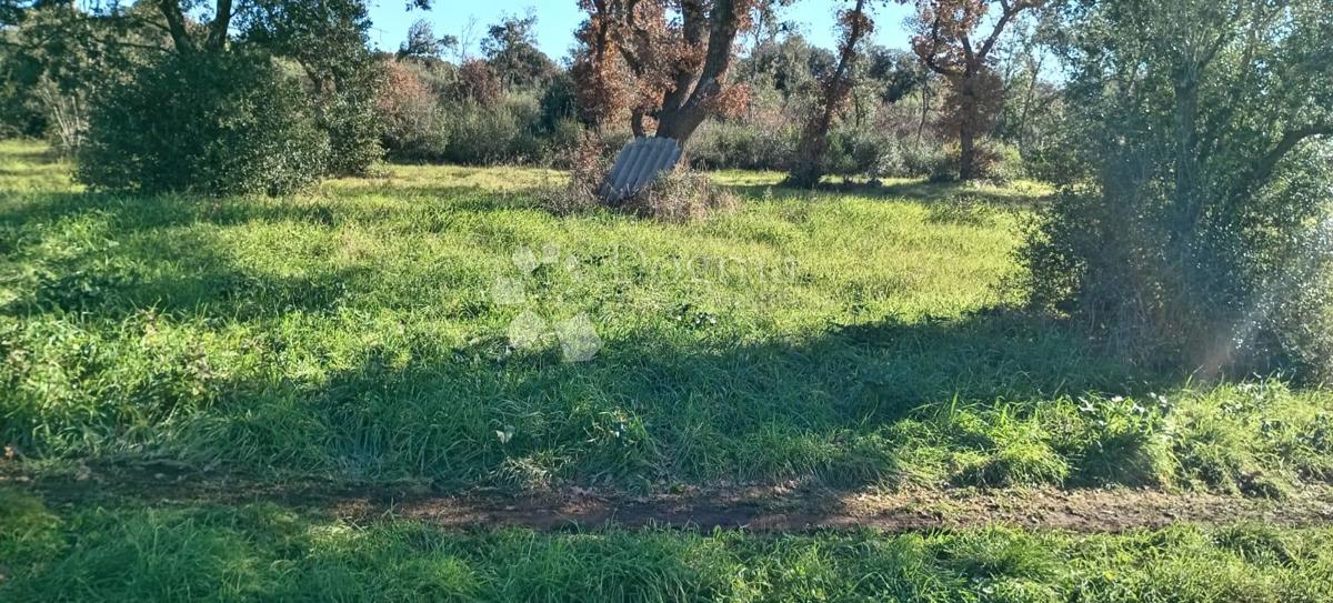 Terreno edificabile in una posizione attraente
