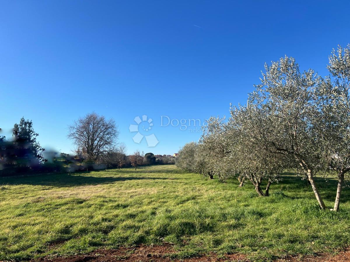 Terreno edificabile Štinjan, Pula, 2.300m2