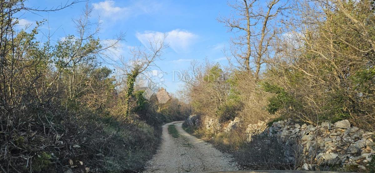 Terreno agricolo Vodnjan, 4.154m2