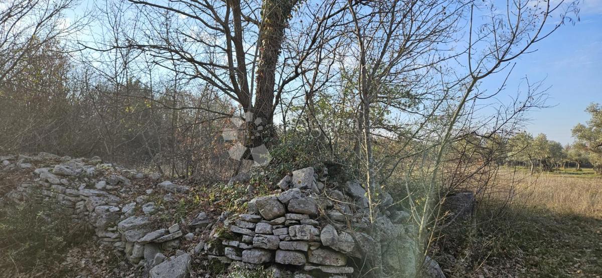 Terreno agricolo Vodnjan, 4.154m2