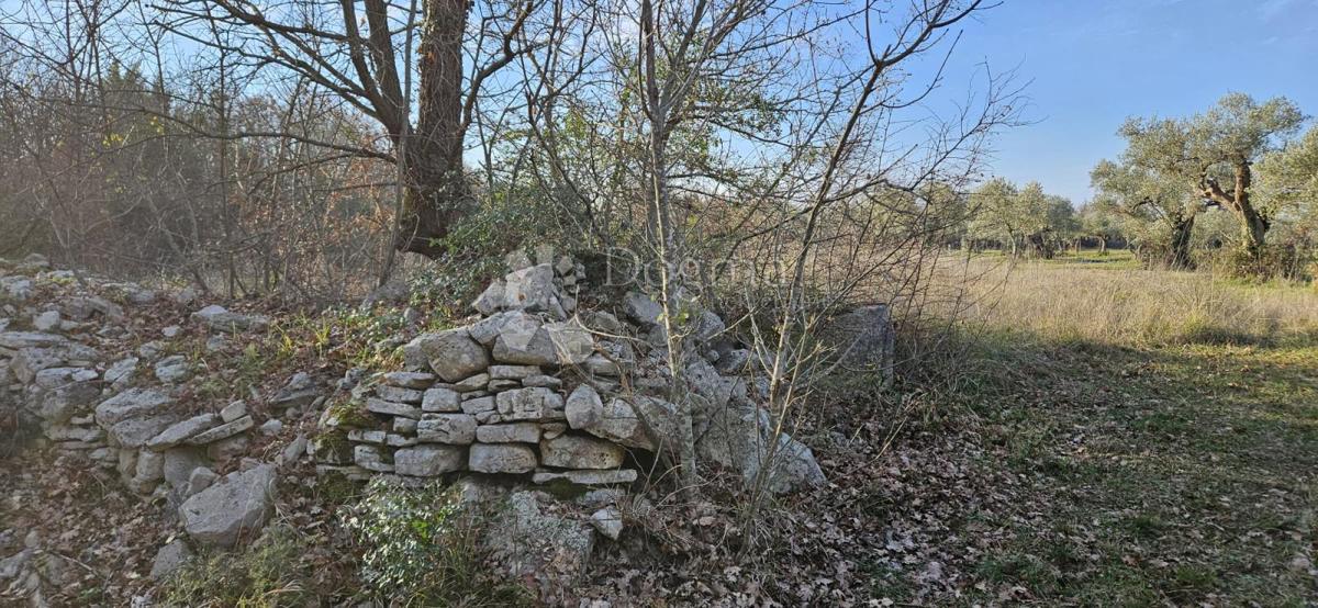 Terreno agricolo Vodnjan, 4.154m2