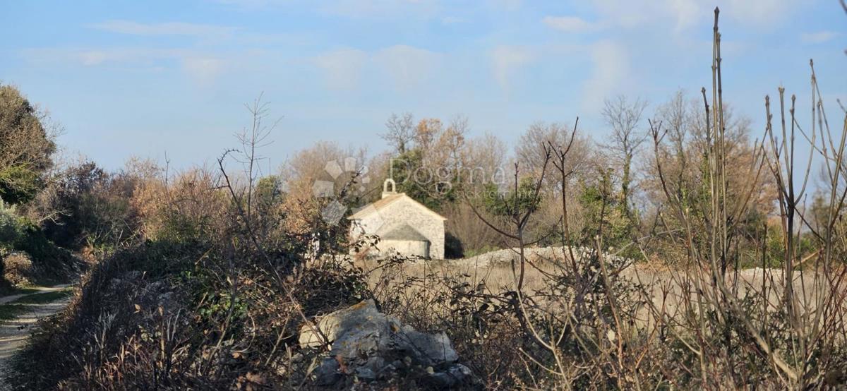 Terreno agricolo Vodnjan, 4.154m2