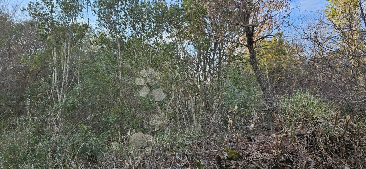 Terreno agricolo Vodnjan, 4.154m2