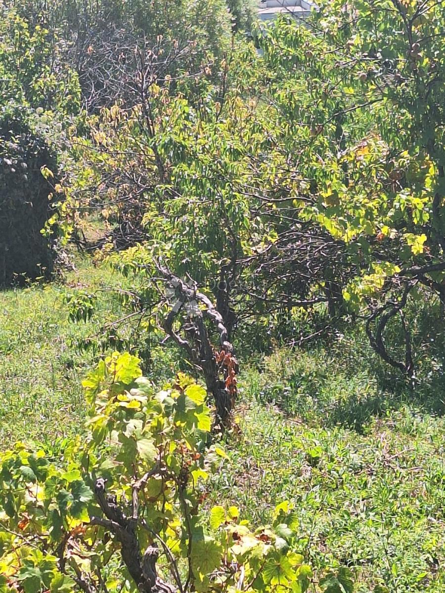 Terreno edificabile Mikulići, Črnomerec, 20.000m2