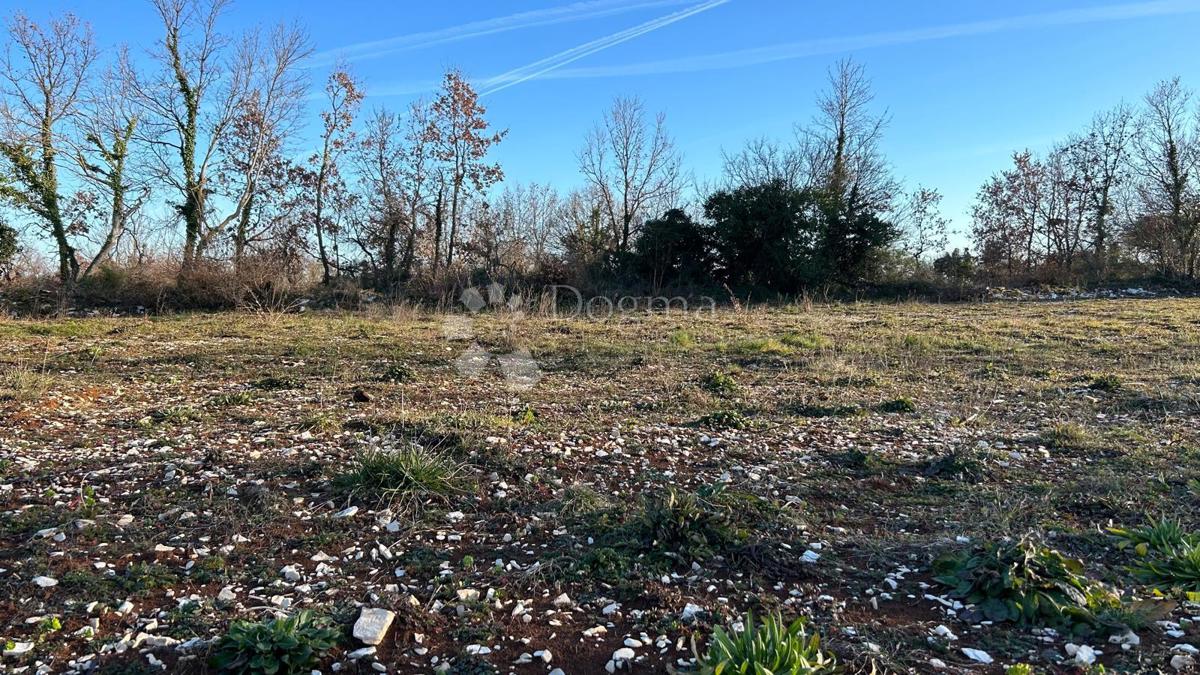 Terreno edificabile Kanfanar, 945m2