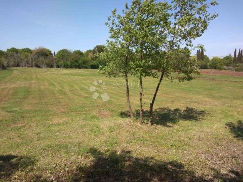 Terreno agricolo Žuntići, Kanfanar, 7.267m2
